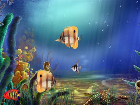 Windows 10 Aquarium Screensaver - Animated Aquarium Screensaver ...