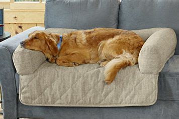 Grip-Tight® Bolstered Dog Sofa Protector in 2020 | Dog couch protector ...