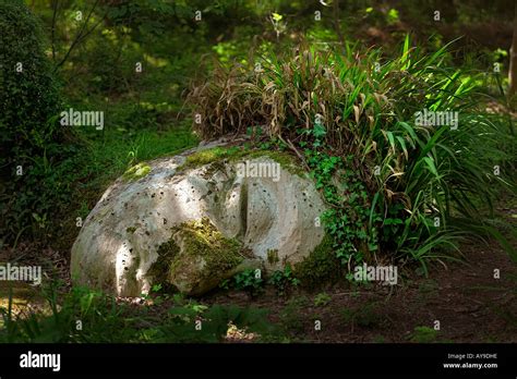 A sculpture at The Lost Gardens of Heligan Stock Photo - Alamy