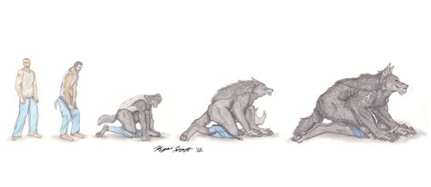 Wolf-Man-24 Transformation Sequence by Kigai-Holt on DeviantArt ...