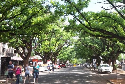 Potchefstroom: 15 Interesting Facts You Might Not Know