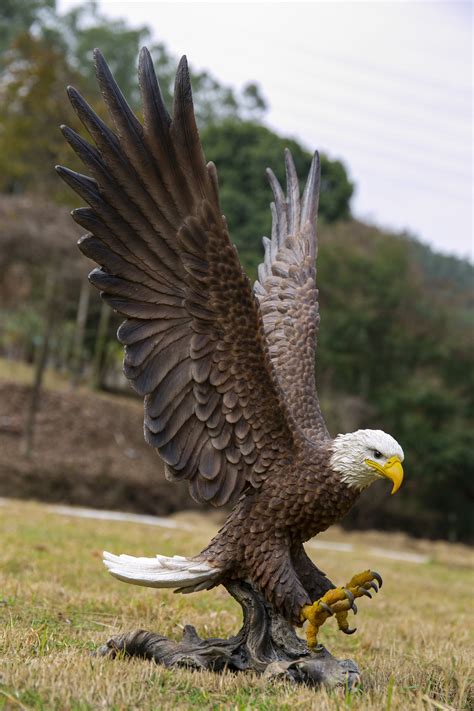 Hi-Line Gift Ltd. Large Flying Eagle Statue | Wayfair