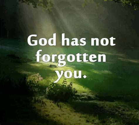 God Has Not Forgotten You Quotes. QuotesGram