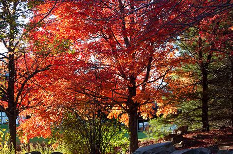 14 Places in Pennsylvania to See the Best Fall Foliage | Pittsburgh ...