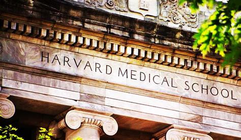 Best American Universities To Study Medicine: Top 20 Medical Schools In ...