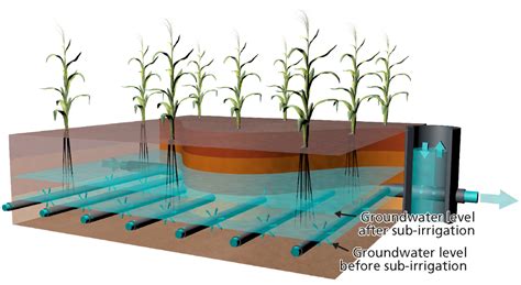 Underground irrigation system reduces water consumption by a quarter ...