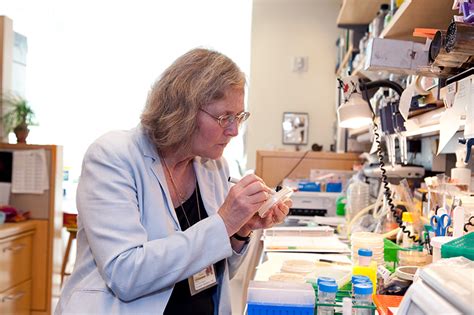 UCSF’s Elizabeth Blackburn Receives Nobel Prize in Physiology or ...