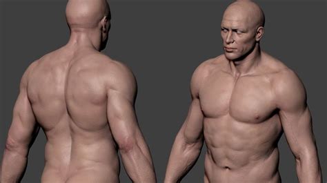 ArtStation - ANATOMY MALE, Andrey Gritsuk | Man anatomy, Anatomy ...