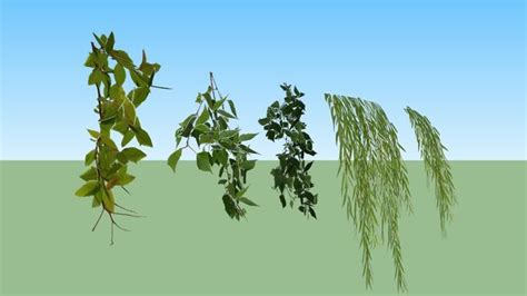 Vines set - 3D Warehouse | Grass wallpaper, Hanging plants, Sketchup model