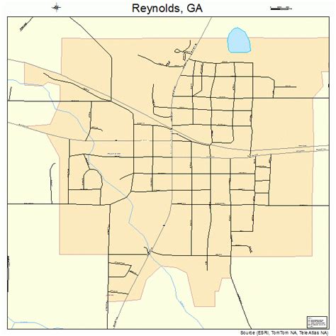 Reynolds Georgia Street Map 1364876