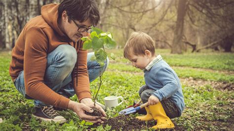 Massive Mistakes To Avoid When Growing A Pecan Tree