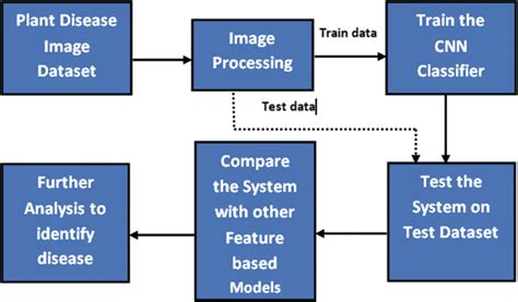 Plant disease identification using CNN | Download Scientific Diagram
