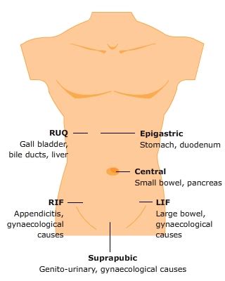 Abdominal Pain without Shock - RCEMLearning