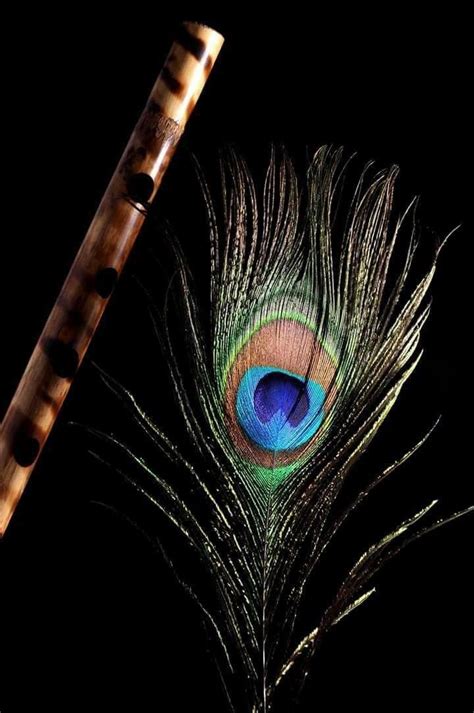 Download Peacock Krishna Flute, Radha Krishna Love, Radha Krishna ...