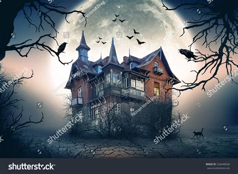 56.659 Haunted House Halloween Bilder, Stockfotos und Vektorgrafiken ...