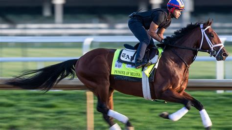 Pioneer of Medina: Derby horse's jockey, trainer, owner, bloodline