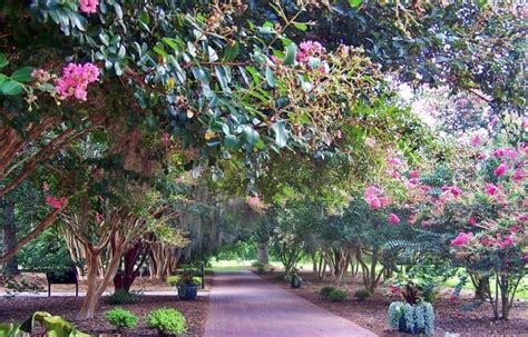 Free Things to Do in Savannah, Georga | Tour Pass®