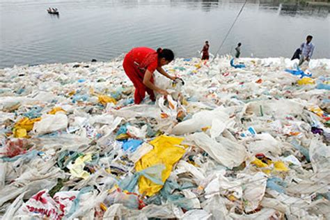 Plastic bags are killing us | Salon.com