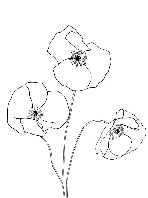 flowers line art | Strichzeichnung kunst, Line art design, Skizzen kunst