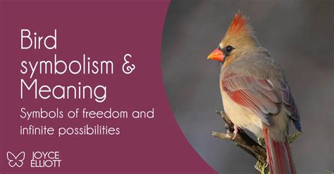 Bird symbolism & Meaning: 26 Symbolic Meanings Explained - Joyce Elliott