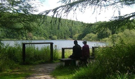 Macclesfield Forest - Visit Cheshire