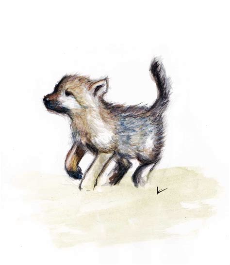 Wolf Cub Drawing at GetDrawings | Free download