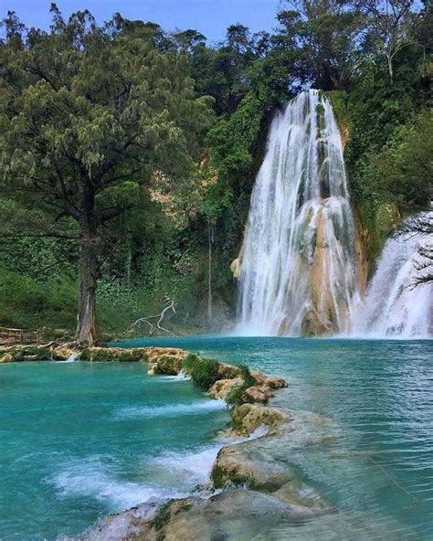 San Luis Potosi-Mexico | Scenic waterfall, Natural waterfalls ...