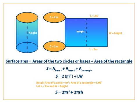 Surface Area of a Cylinder: Formula & Examples - Curvebreakers