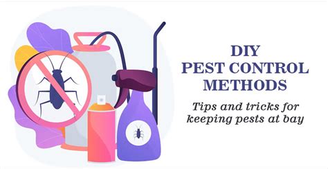 DIY Pest Control Methods: Tips and Tricks for Keeping Pests at Bay