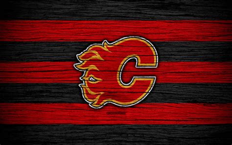 Calgary Flames - RomolaYusif