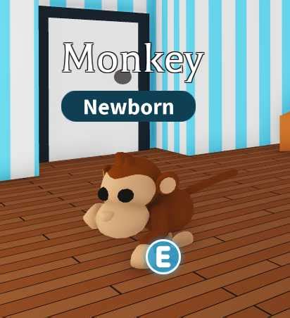 Monkey (Adopt Me)