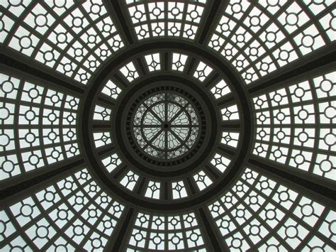 radial symmetry - Google Search in 2020 | Symmetry photography ...