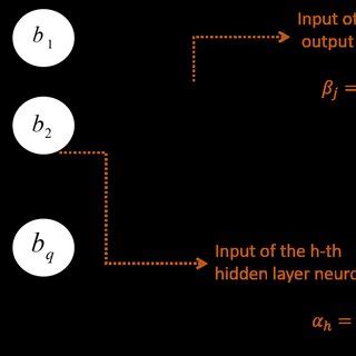 Biological and mathematical models of neural networks. | Download ...