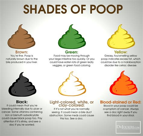 16 Ways to Achieve a Healthy Poop!