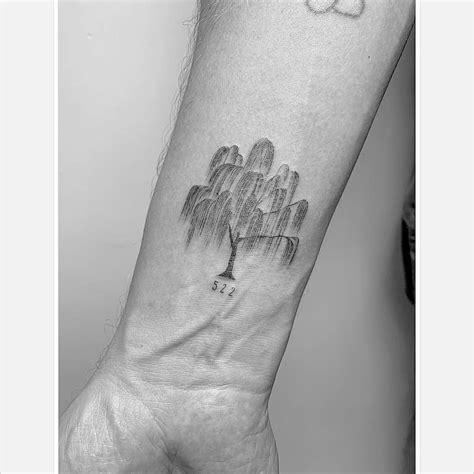 12+ Astonishing Willow tree tattoo ideas ideas