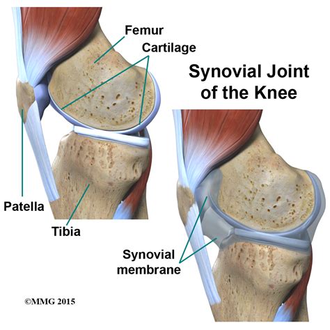 Knee Pain Haymarket VA Physical Therapy