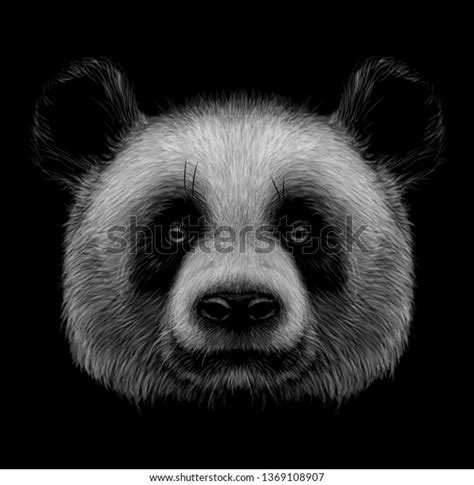 30,407 Black White Panda Vector Images, Stock Photos & Vectors ...