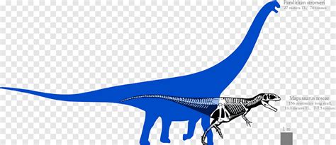 Mapusaurus Argentinosaurus Paralititan Bruhathkayosaurus Tyrannosaurus ...