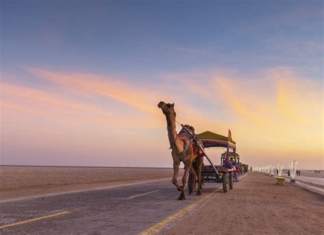 Rann Utsav Tour 2 Night / 3 Days - Rann of Kutch Festival - Desert Festival