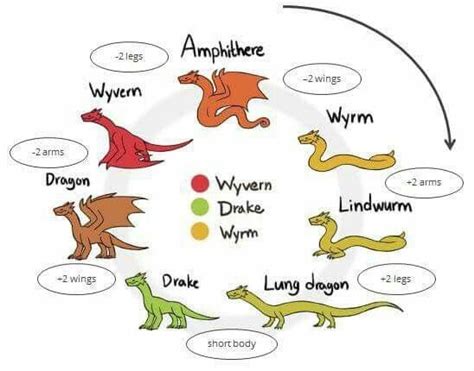 What's your favorite type of Dragon? - Forum Lounge - MLP Forums