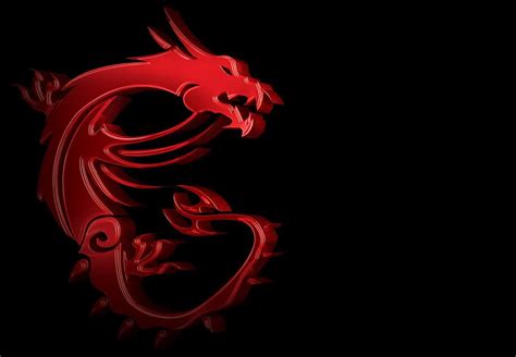 msi dragon logo | Logo dragon, How to train dragon, Msi