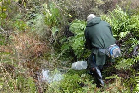 Mudfish monitoring in Saltwater Forest | Conservation blog