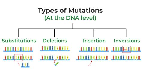 Mutation-Definition, Types, Causes, Characteristics