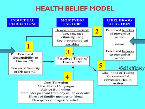 Health Belief Model Description