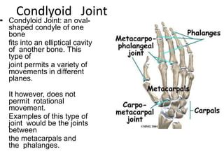 Types of joints | PPT | Free Download