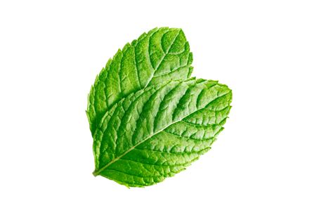 Mint leaves Mint leaves isolated on transparent background 22804960 PNG