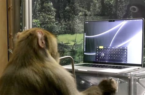 Neuralink demo shows monkey performing ‘telepathic typing’ : r ...