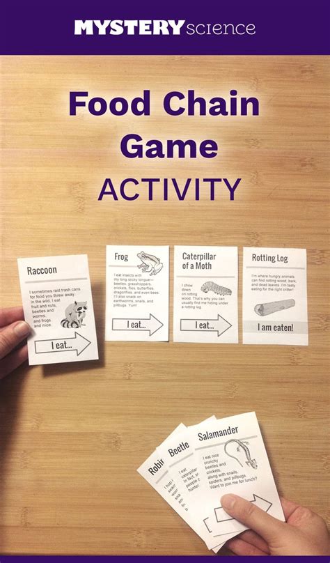 Food Chain Activity - free hands-on science activity for 4th and 5th ...