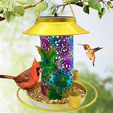 Best Solar-Powered Hummingbird Feeder