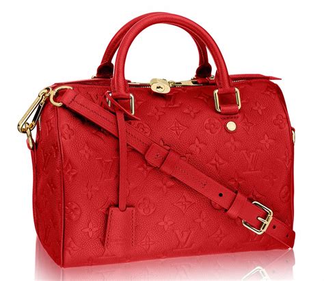 Louis Vuitton Speedy 25 Bag Organizer at Mary Roos blog